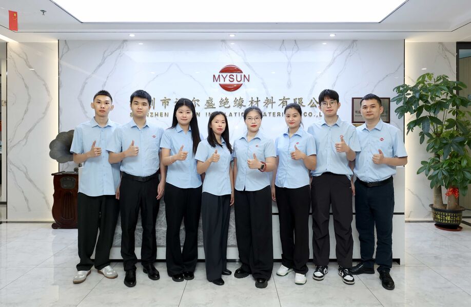中国 Shenzhen Mysun Insulation Materials Co., Ltd. 会社概要