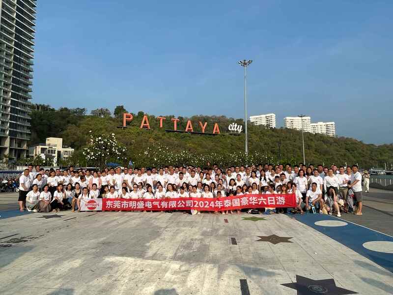 中国 Shenzhen Mysun Insulation Materials Co., Ltd. 会社概要