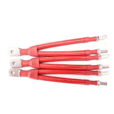 新エネルギー電池ケーブルワイヤハーネス 10mm2 から 95mm2 缶詰銅導体とシリコンXLPE保温用エネルギー貯蔵システム